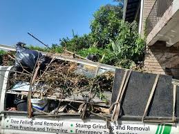 Best Residential Junk Removal  in Osakis, MN